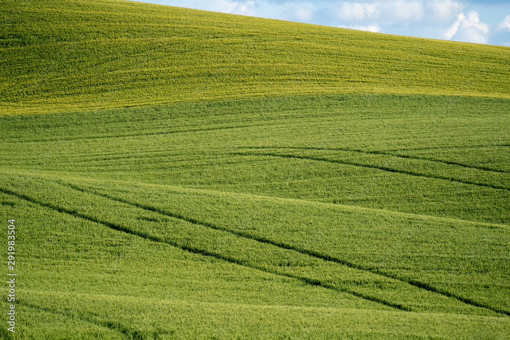 Plowed field in the Palouse of Washington State, with lines from the harvest in the field Plowed field in the Palouse of Washington State, with lines from the harvest in the field