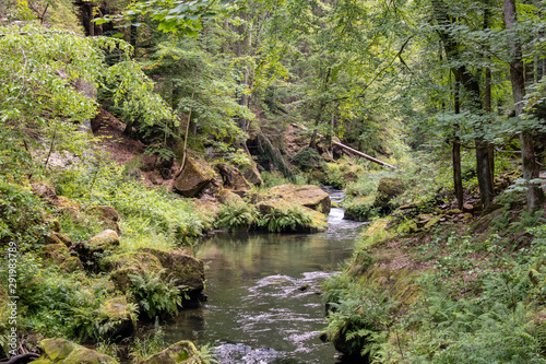 View from the wild Edmunds Gorge in Bohemian Switzerland near the town of Decin  Czech Republic