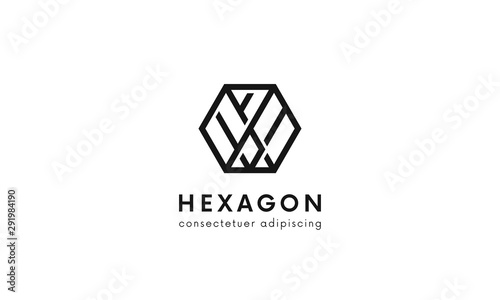 Simple geometric hexagon logo vector design. Clean linear comapany sign.