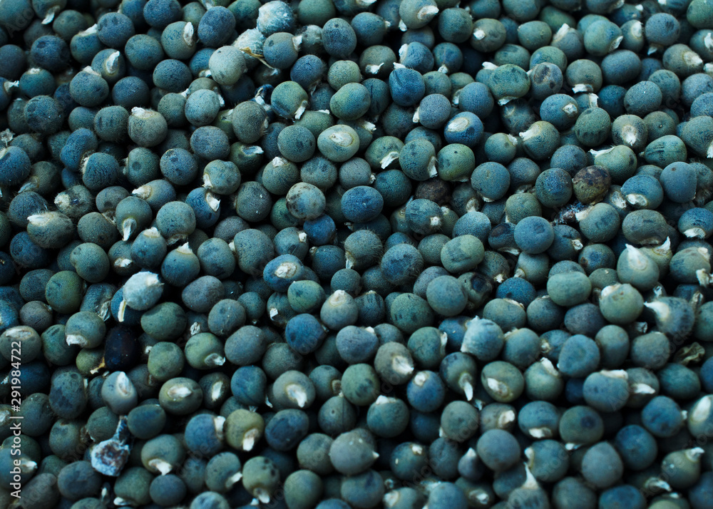 Close up of green okra seeds backgrounds Close up of green okra seeds backgrounds