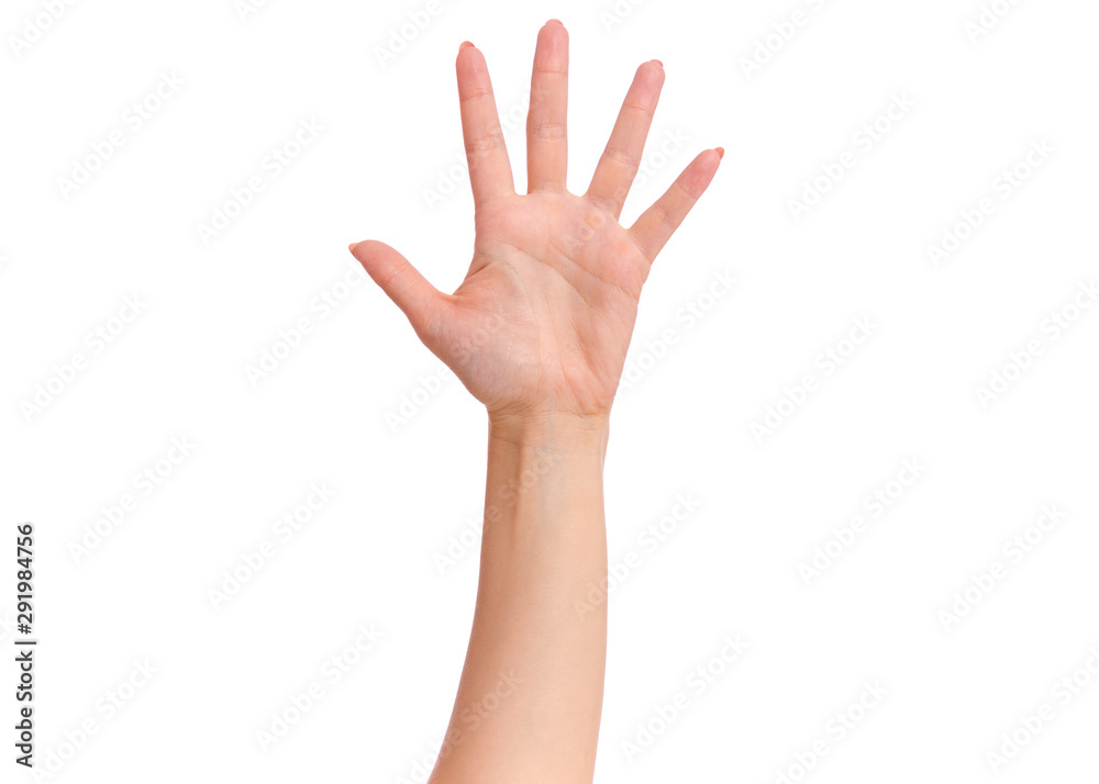 Female hand showing 5 fingers gesture, isolated on white background. Beautiful hand of woman with copy space. Hand doing gesture of number Five. Series of photos count from 1 to 5. Female hand showing 5 fingers gesture, isolated on white background. Beautiful hand of woman with copy space. Hand doing gesture of number Five. Series of photos count from 1 to 5.