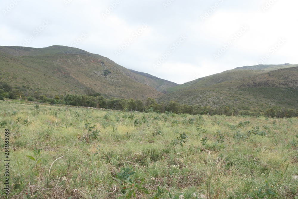 Field and mountain