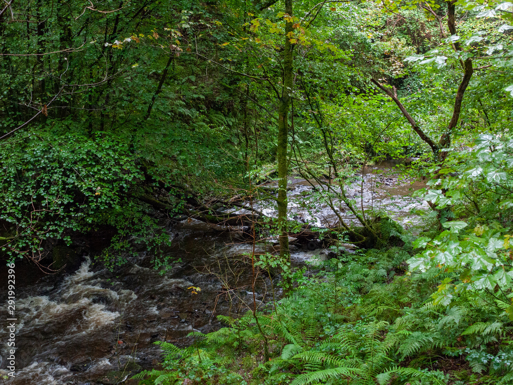 Beautiful South Wales Melincourt Falls Waterfall Rocks Wet