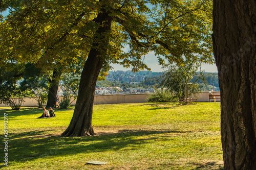 Fototapeta Naklejka Na Ścianę i Meble -  warm afternoon at Grebovka Park in Prague