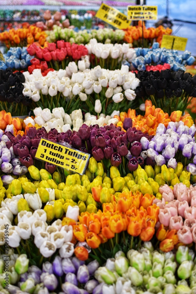 Fototapeta premium Colourful beautiful tulips at a market in Amsterdam