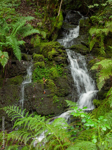 Fototapeta Naklejka Na Ścianę i Meble -  Beautiful South Wales Melincourt Falls Waterfall Rocks Wet