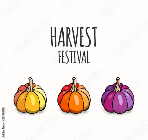 Harvest festival pumpkins