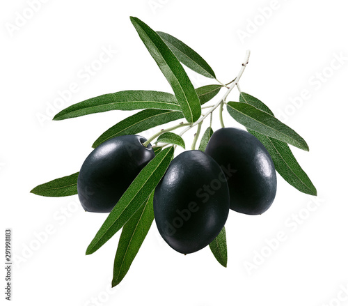Black olives on branch isolated on white background