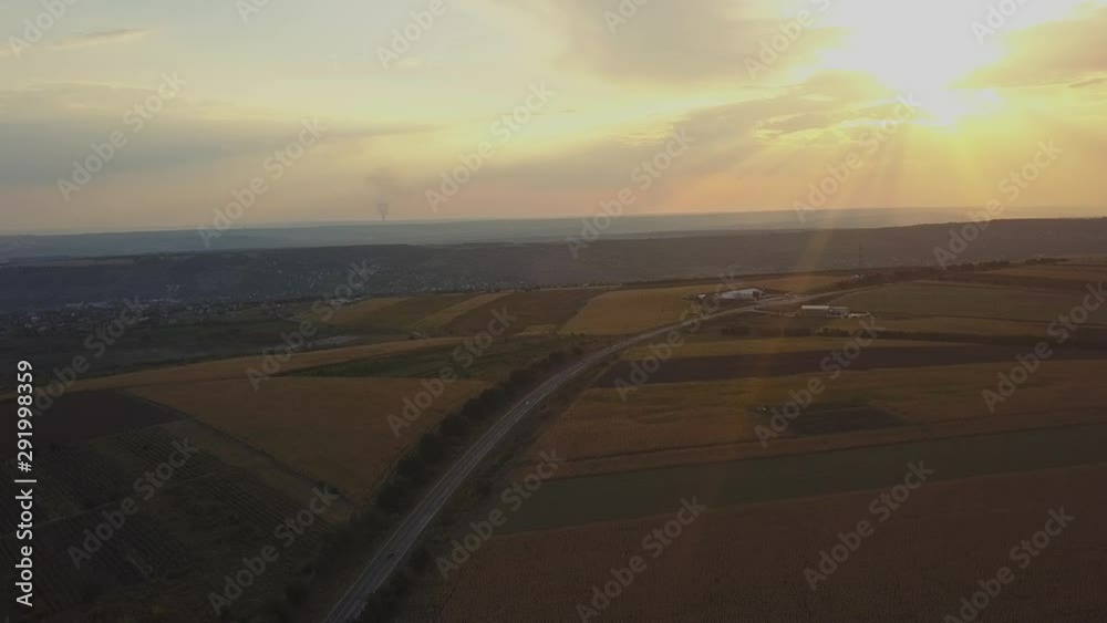 Aerial view. Flight above rural summer field with endless yellow landscape at summer sunny evening. Sun rays on horizon. Agricultural farmland at autumn. Aerial view. Flight above rural summer field with endless yellow landscape at summer sunny evening. Sun rays on horizon. Agricultural farmland at autumn.