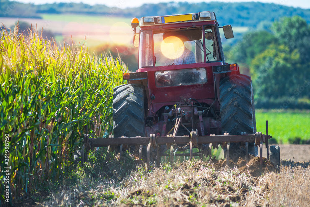 Obraz premium tracteur et sa remorque pour labourer les champs dans un joli paysage