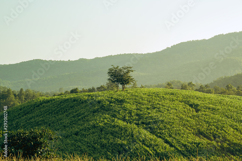 beautiful landscape of mountain and farm 