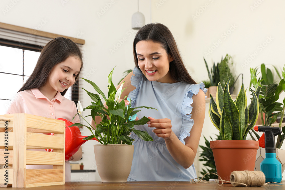 Mother and daughter taking care of plant at home