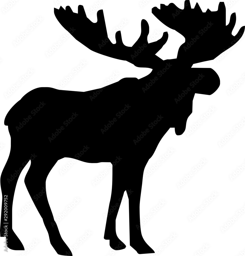 Moose Moose