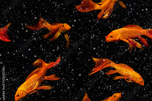 Goldfish  geometric seamless pattern  set  collage and bubbles isolated on black background.