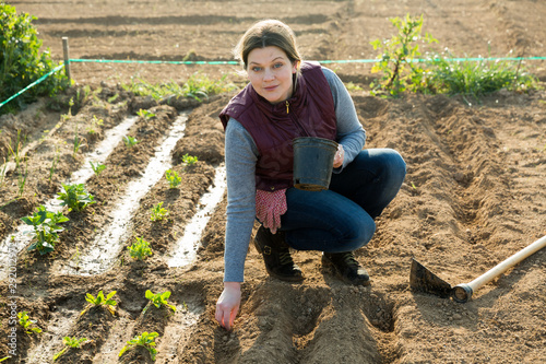 Woman farmer gardening on plantation photo