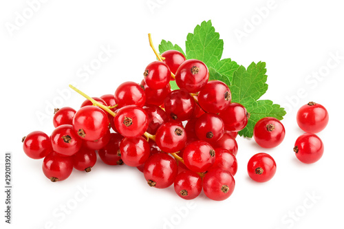 Red currant berries with leaf isolated on white background