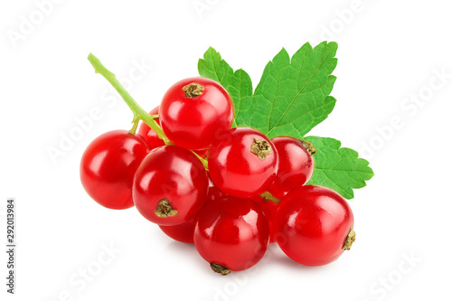 Red currant berries with leaf isolated on white background photo