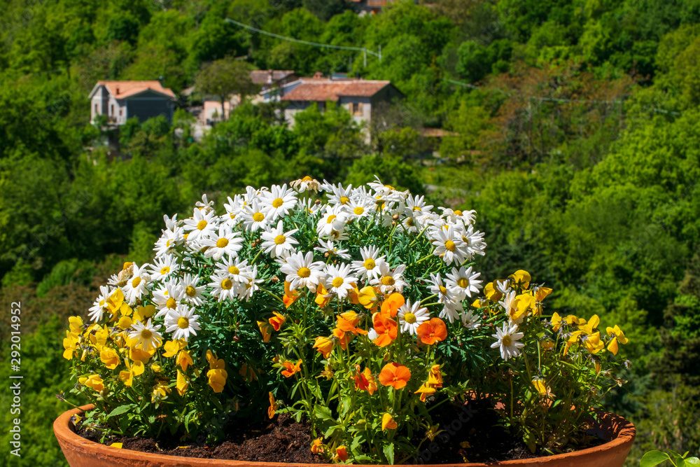 Beautiful Landscape seen from the Sanctuary of Greccio