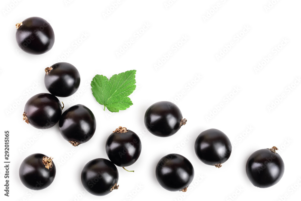black currant with leaf isolated on white background. Top view. Flat lay pattern. With space for your text black currant with leaf isolated on white background. Top view. Flat lay pattern. With space for your text