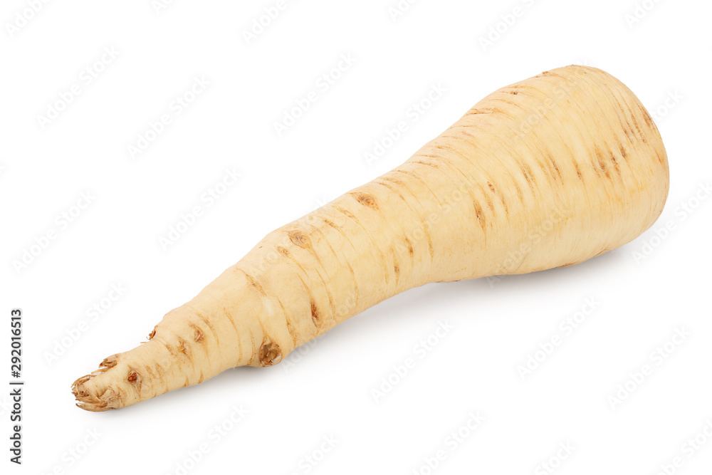 Parsnip root isolated on white background closeup Parsnip root isolated on white background closeup