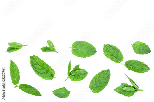 fresh green mint leaves isolated on white background, top view. Flat lay. With copy space for your text