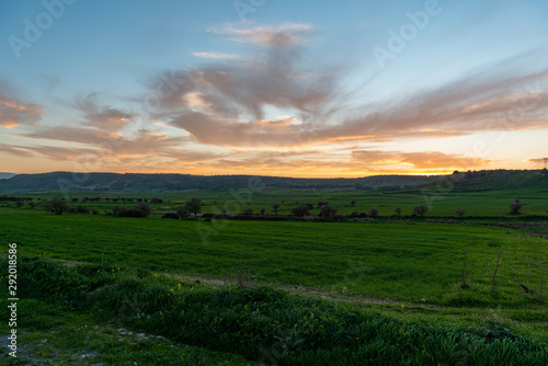 sunset over green field © Tomasz