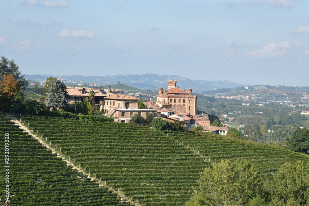 Langhe vineyard panorama with barolo castle