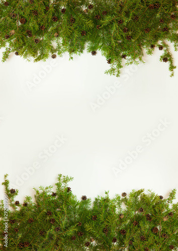 Christmas or New Year background: fir tree branches, decoration and cones on a white background