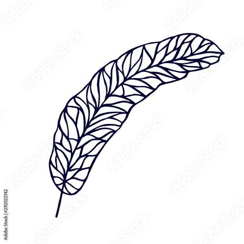 feather with geometric pattern. eps10 vector illustration. hand drawing