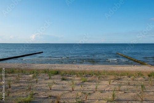 The view of the dunes and the beach of Zempin on the island of Usedom on a sunny day
