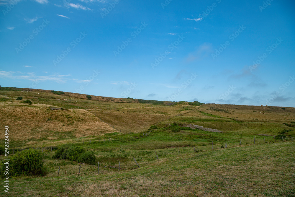 landscape with green field and blue sky