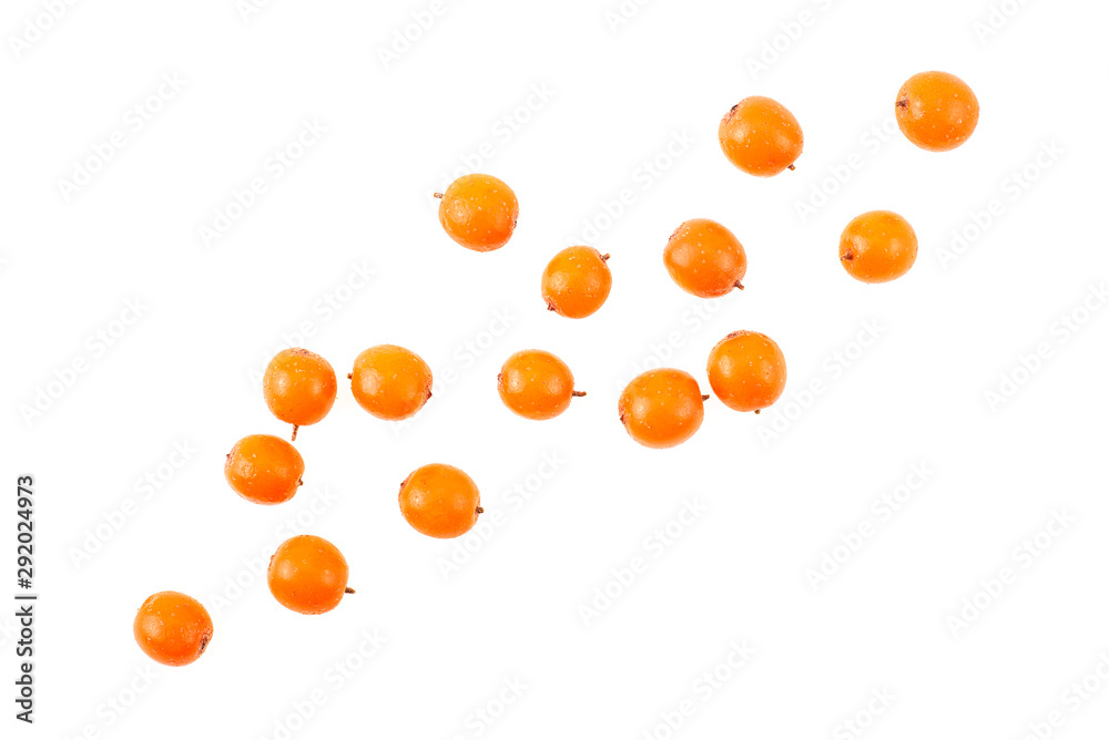 Sea buckthorn berries isolated on a white background, top view. Hippophae rhamnoides.
