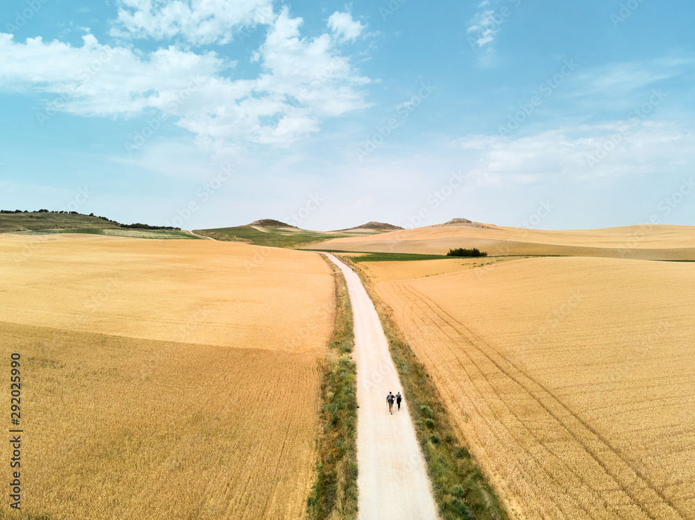 Pilgrims Walking the Camino of Santiago In Spain Countryside