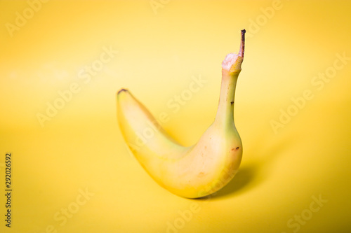 Banana on yellow background, with slight shadow. Single banana. photo