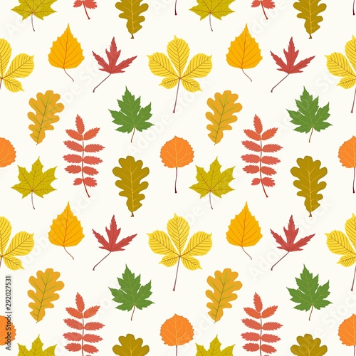 Seamless pattern with autumn leaves on a white background. Vector illustration
