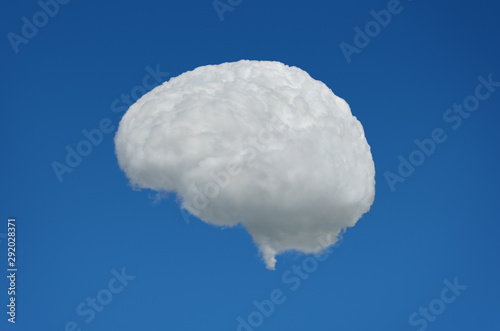 Fototapeta Naklejka Na Ścianę i Meble -  Brain cloud in blue sky