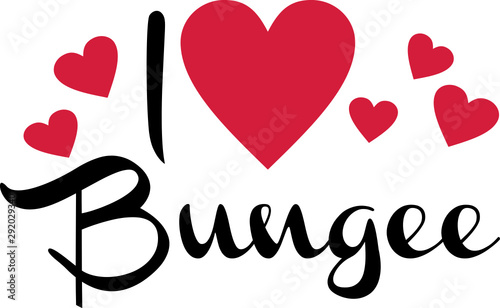 I love Bungee