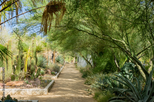 Valokuva Botanical Garden of Springs Preserve at Las Vegas