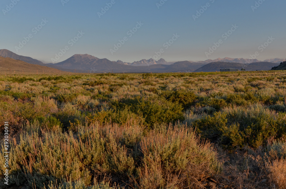 Long Valley Caldera and eastern Sierra Nevada mountains scenic view from Benton Crossing Road (Whitmore Hot Springs, Mono County, California)