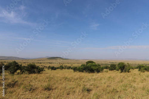 Vistas desde el safari en el masai mara
