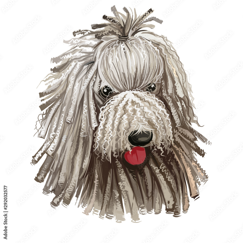 Komondor, Hungarian Komondor, Hungarian Sheepdog, Mop dog digital art