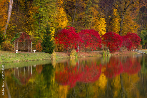 Fototapeta Naklejka Na Ścianę i Meble -  Autumn in the park