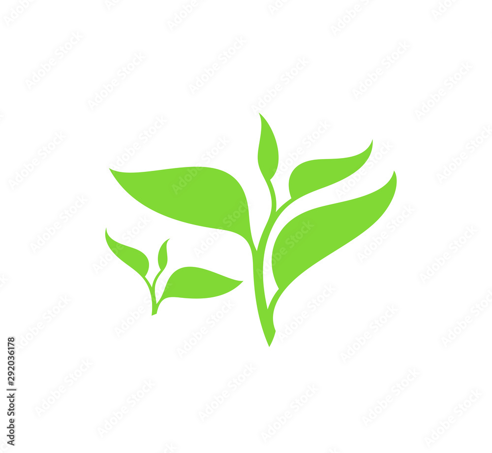 Green tea. Isolated leaves on white background Green tea. Isolated leaves on white background