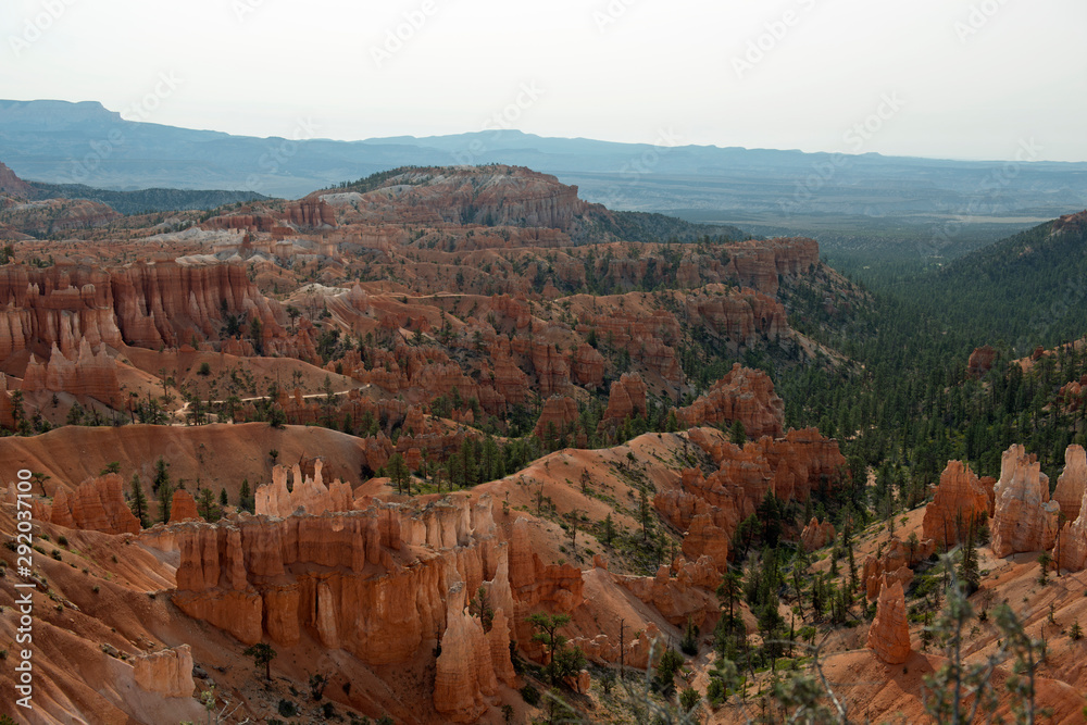 Bryce Canyon with lines of red rocks and trees