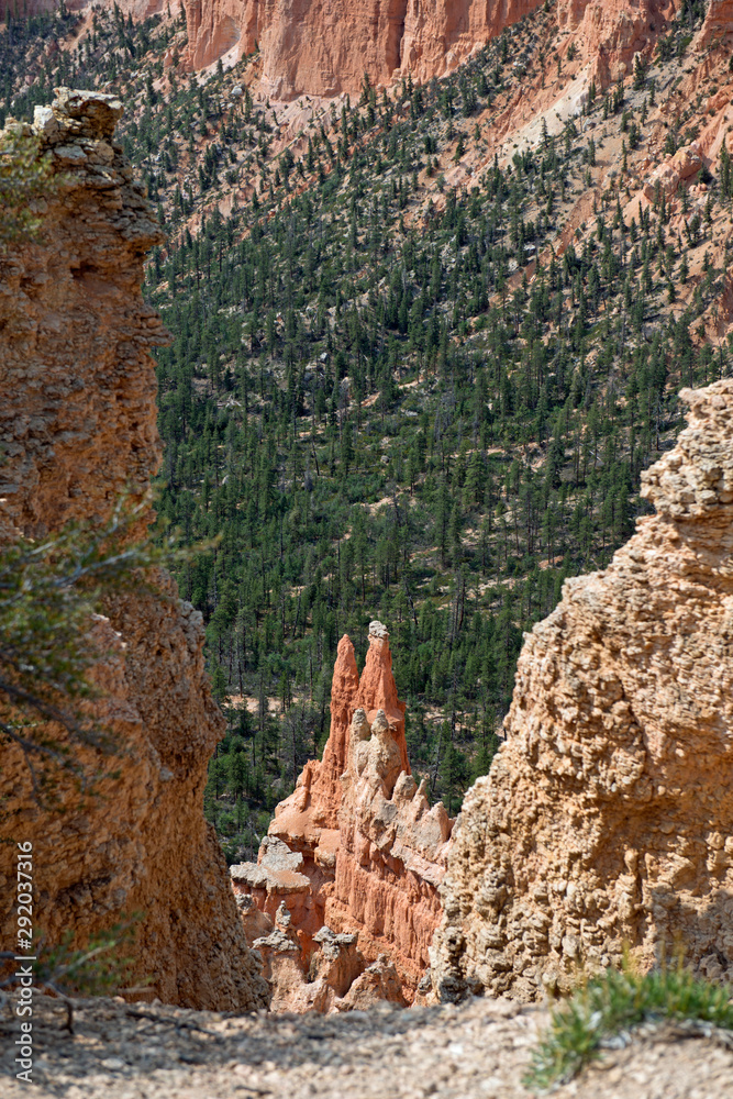 Look through gorge at Bryce Canyon with trees in the valley