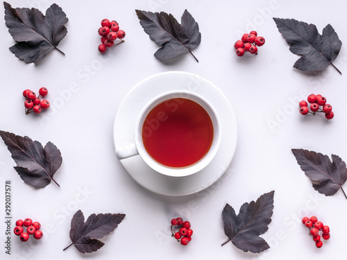 Leaves and berries top view. Autumn composition. Red foliage, ceramic teacup and small fruits on white background. Fallen leaf and rowanbery flat lay. Fall season creative botanical backdrop photo