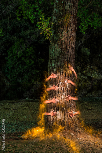hands hugging the burning tree made with the technique of ligthpainting without retouching