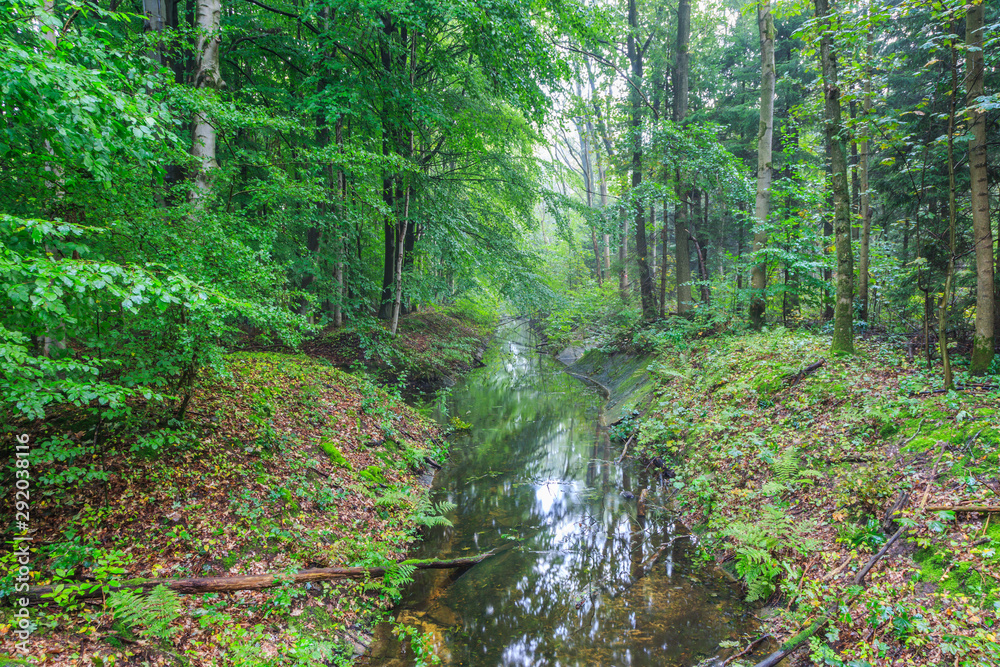 Watercourses with  remnants of hydraulic experimental installations in the Waterloopbos in the Dutch province of Flevoland