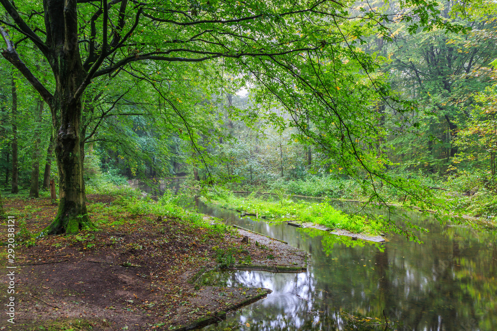 Watercourses with  remnants of hydraulic experimental installations in the Waterloopbos in the Dutch province of Flevoland