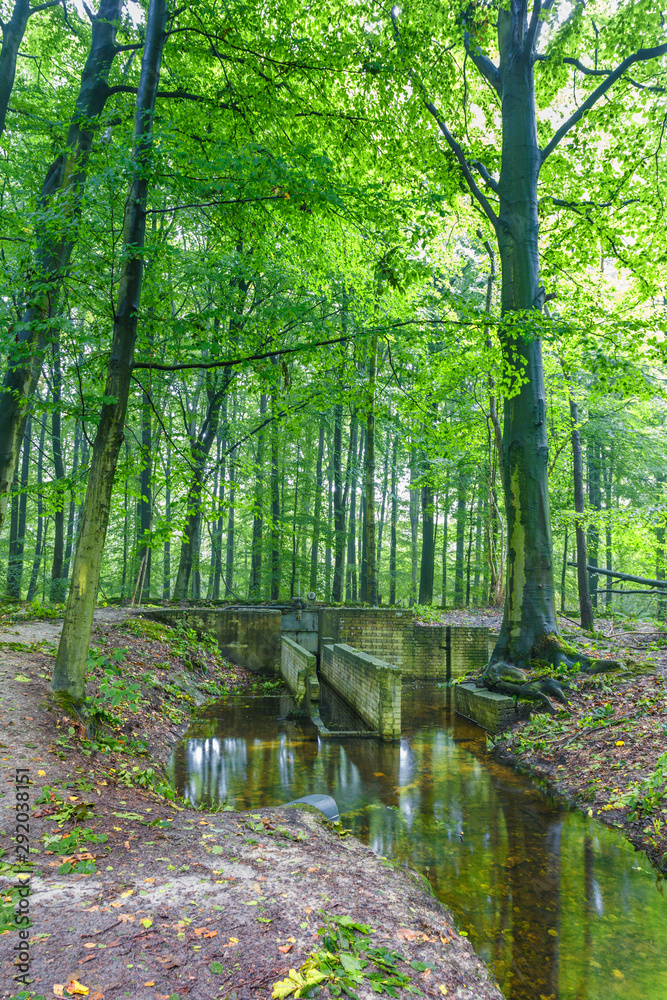 Watercourses with remnants of hydraulic experimental installations in the Waterloopbos in the Dutch province of Flevoland Watercourses with remnants of hydraulic experimental installations in the Waterloopbos in the Dutch province of Flevoland